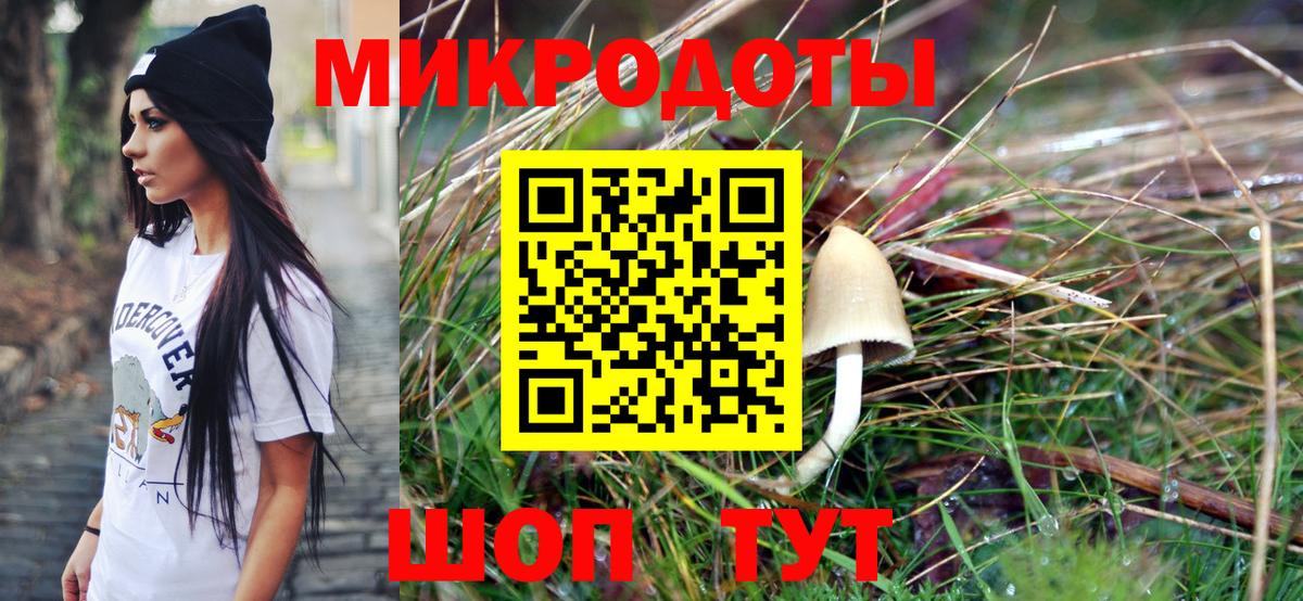 Галлюциногенные грибы прущие грибы  Вход с VPN  Осинники 