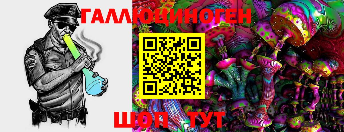 Галлюциногенные грибы мицелий Осинники